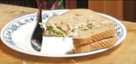 Tuna Sandwich - REC Episode 11