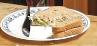 Tuna Sandwich - REC Episode 11