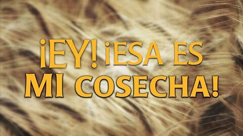 ¡EY! ¡ESA ES MI COSECHA!