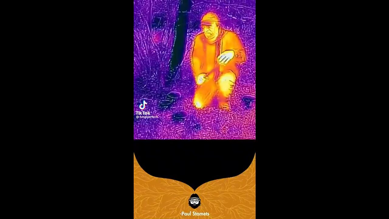 Mushrooms are Cold heat sinks!