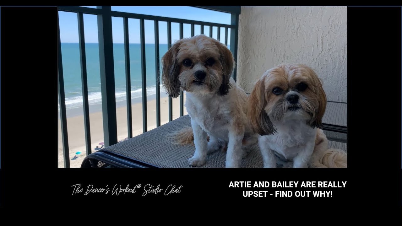 ARTIE AND BAILEY ARE REALLY UPSET - FIND OUT WHY - TDW Studio Chat 110 with Jules and Sara