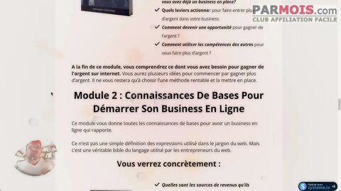 Business Internet En Afrique Ebook