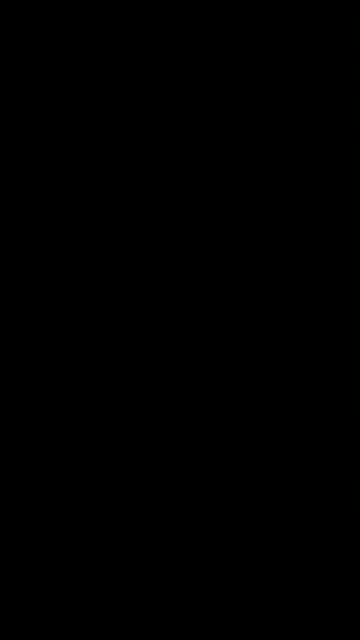 How to pronounce Richard Nixon