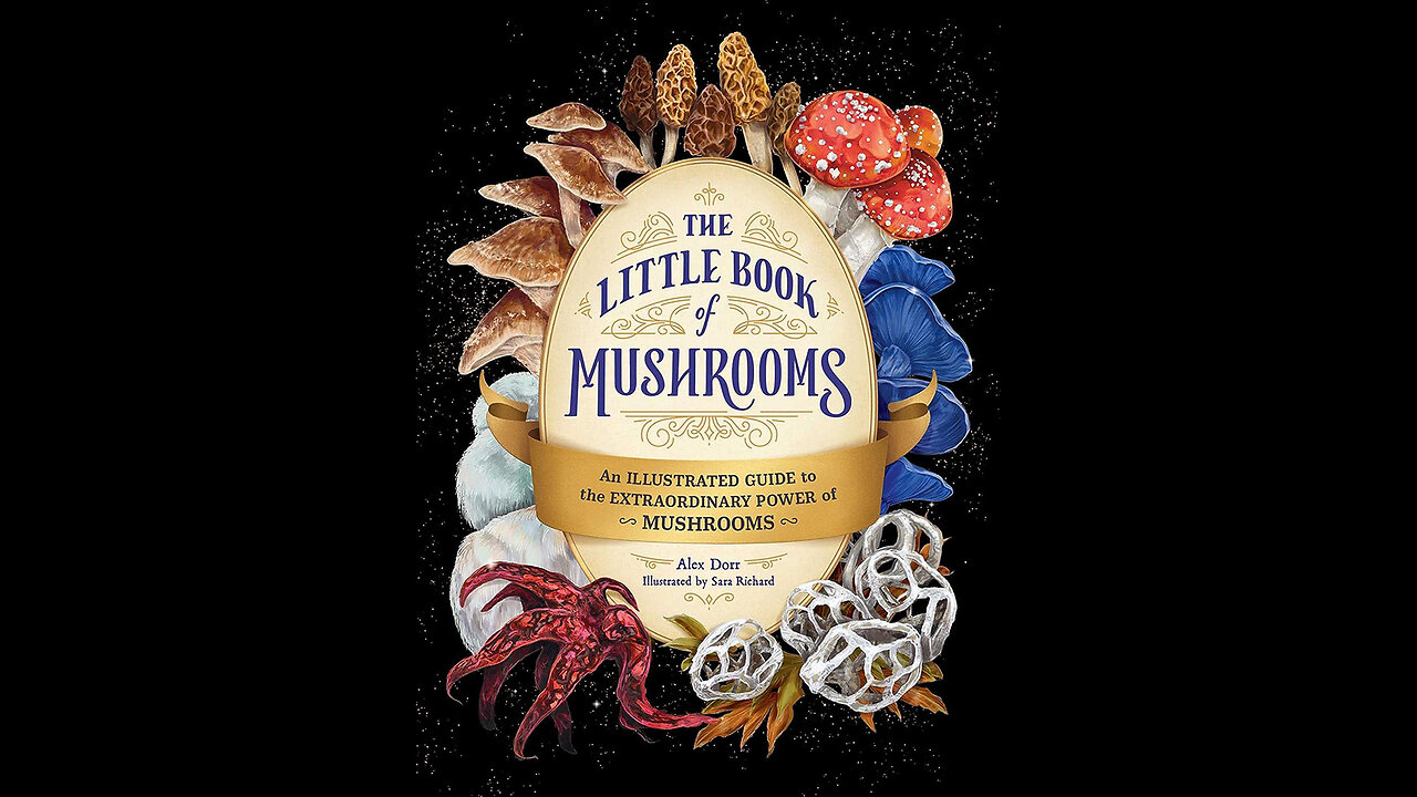 The Little Book of Mushrooms: An Illustrated Guide to the Extraordinary Power of Mushrooms