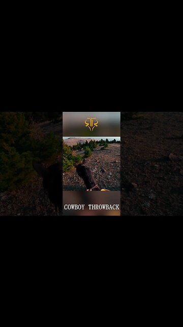 Cowboys Found Lost 2 Calves and 2 Cows In Montana Mountains! 🐮🌄