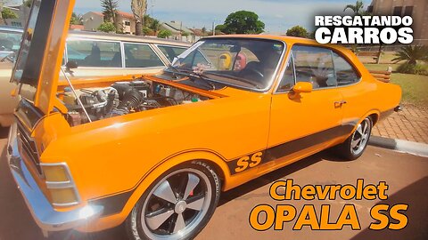 OPALA SS e outros clássicos em JURANDA - PR