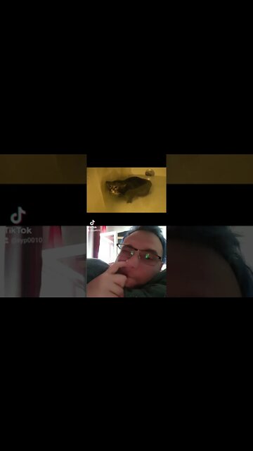 cat goes mlem underwater #cat #mlem #underwater #meow #wëtpüssy #pussy #wet #juicy #kitty #caras