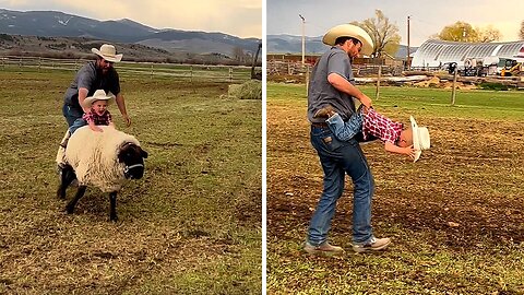 Little boy has a hilarious sheep-riding adventure with dad