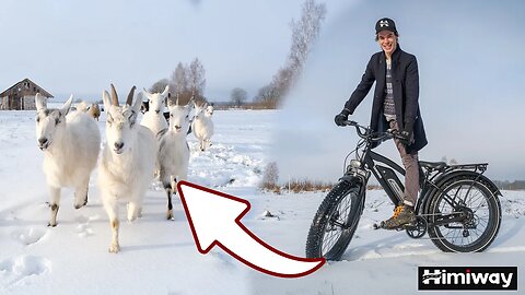 Electric Bike as a Shepherd (Himiway Bike)