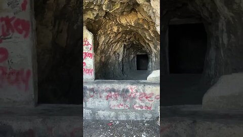 Gibraltar; I Finally Found the Jungle