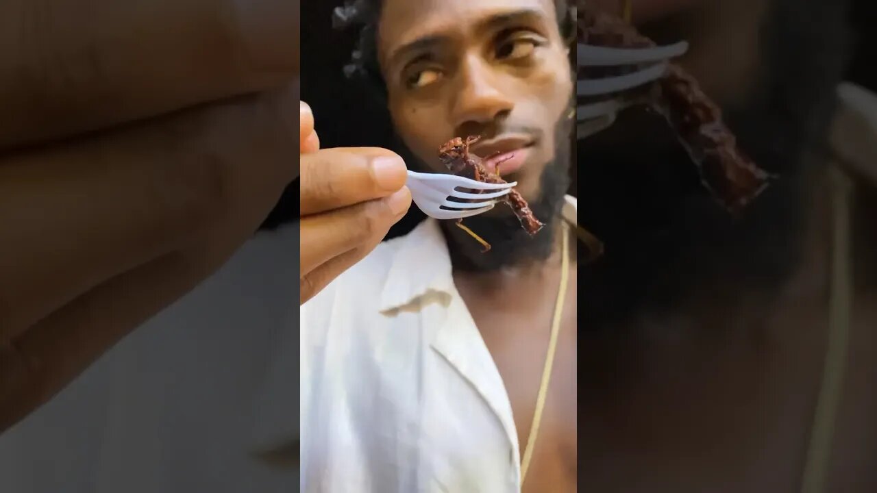 First Bug He Ever Ate!