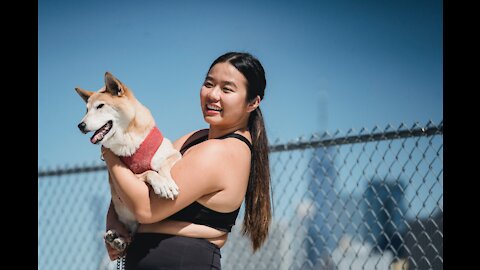 How to training dog, #animals