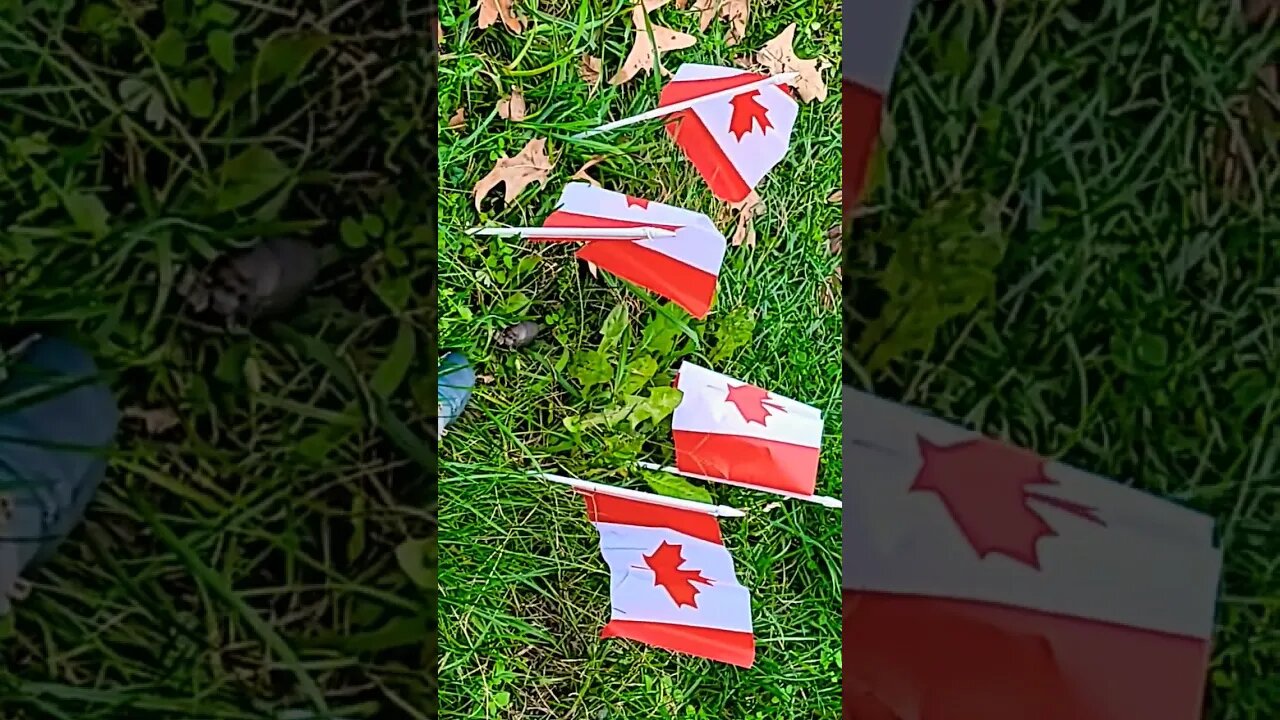 Baby and Momma Alberta hippocus-Shanna found nesting in Hapton Roads