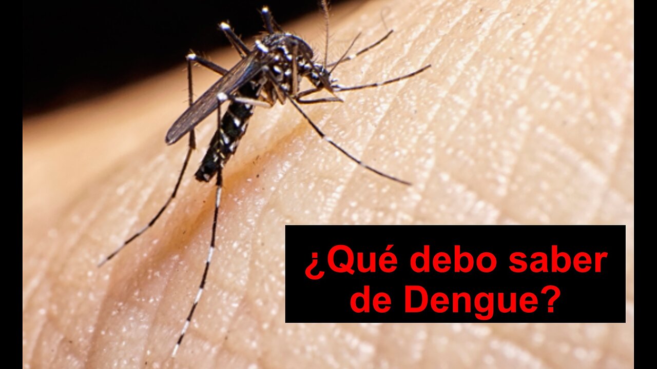 #38-SESGOS. Una colombiana, un boliviano y un argentino enseñan Dengue pediátrico a un uruguayo