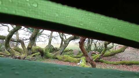 inside the Cloud peak 2 tent . raining. Dartmoor GoPro 23rd March 2023