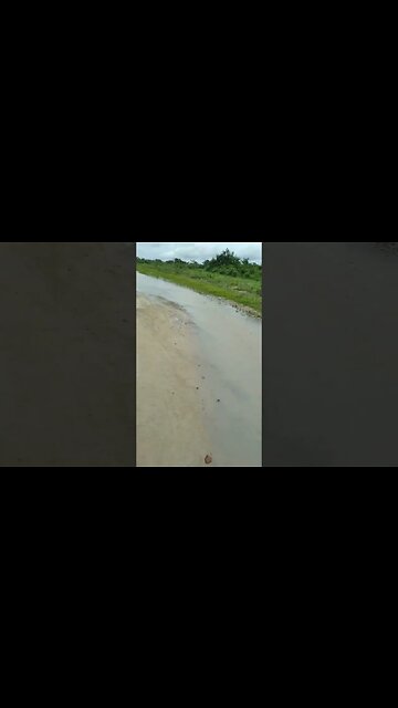 Muita chuva aqui na Bahia, as estradas viraram rios #shorts