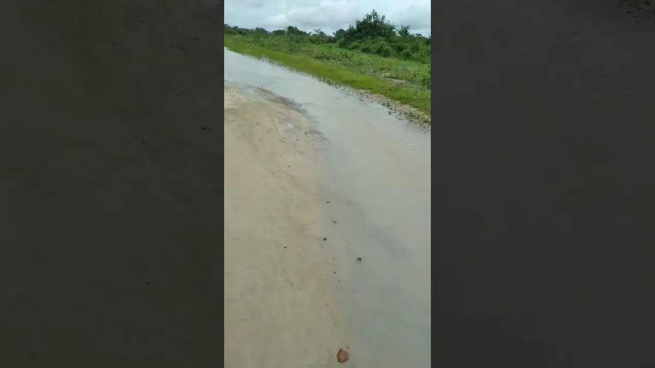 Muita chuva aqui na Bahia, as estradas viraram rios #shorts