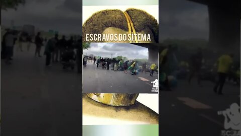 Escravos do Brasil.