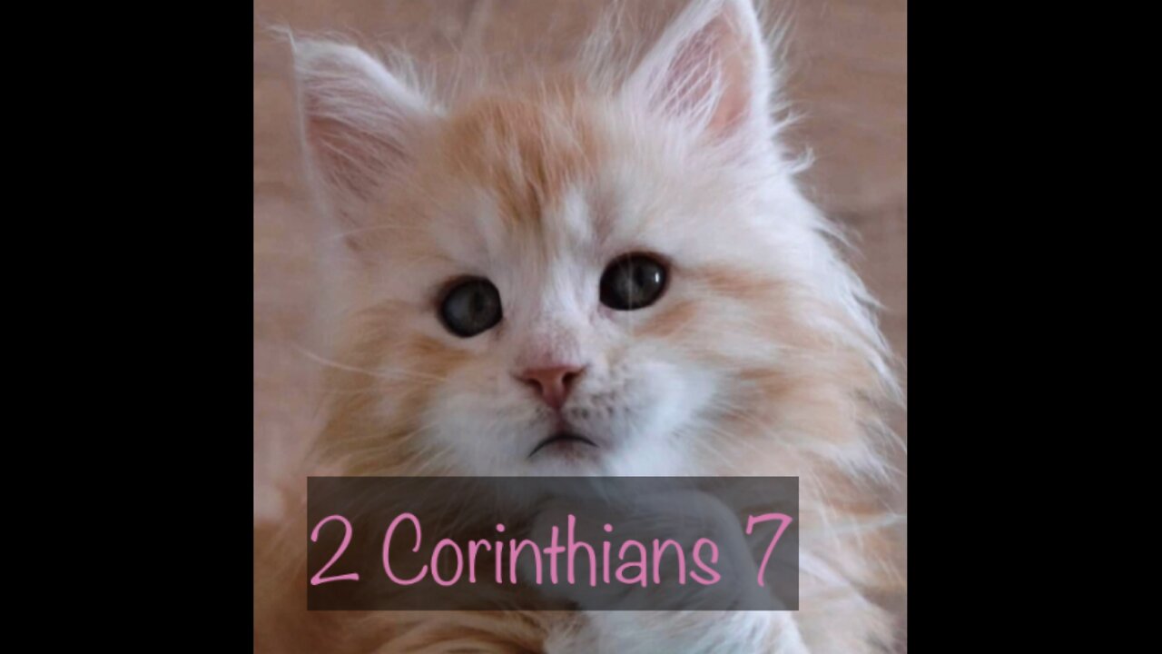 Read the Bible with me. 2 Corinthians 7