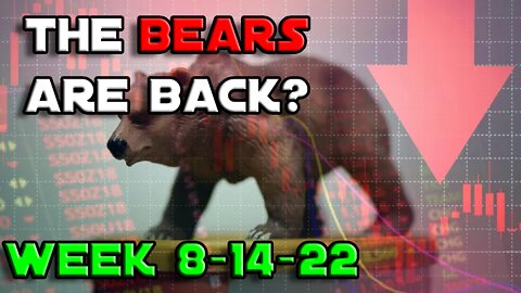SP500 Heat Map Week 8-14-22 | The Bears are Back?