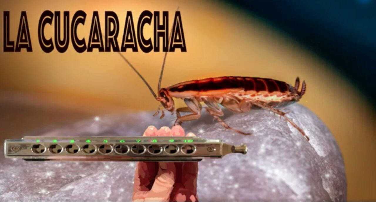 How to Play La Cucaracha on a Chromatic Harmonica