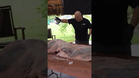 Whole Wagyu Pig | Guga | #shorts #youtubeshorts