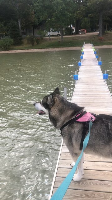 Tuesday Sept 24, It is all so meaningless and depressing