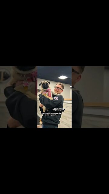 pups on pups #dogtraining