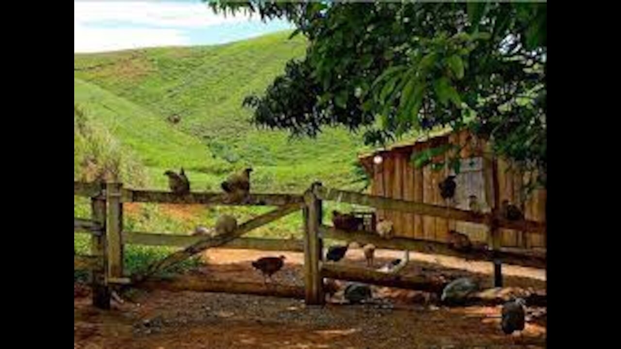 BRAZILIAN CITY MINAS GERAIS