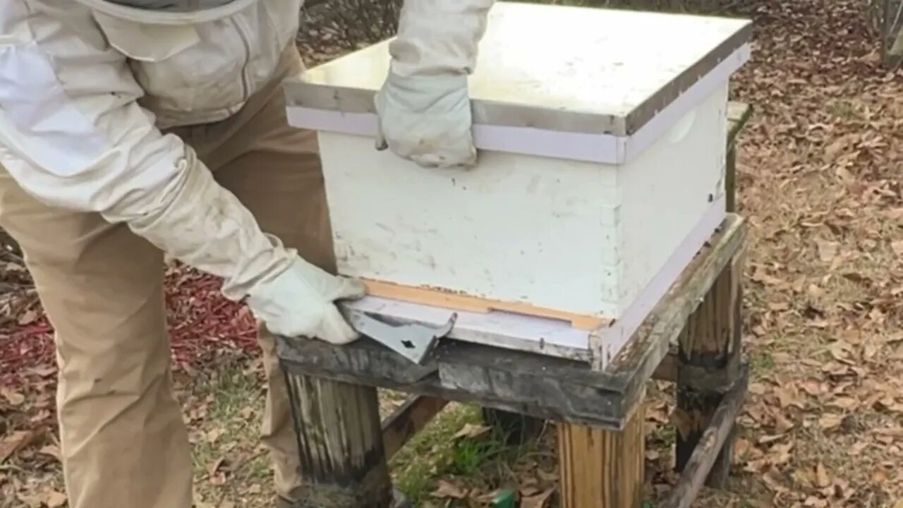 How to Easily Repair a Bottom Board of a Honey Bee Hive - DIY