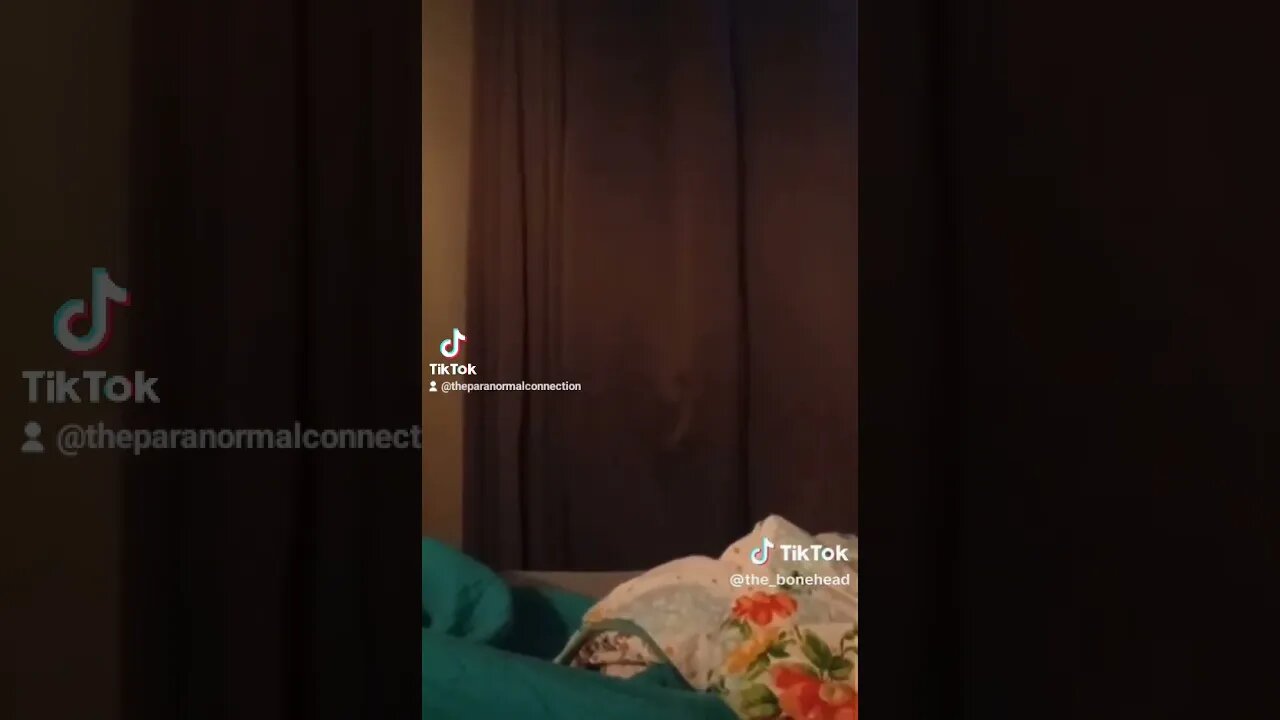 The Face