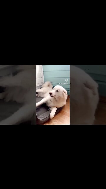 #America #beautiful #blessed #business #success