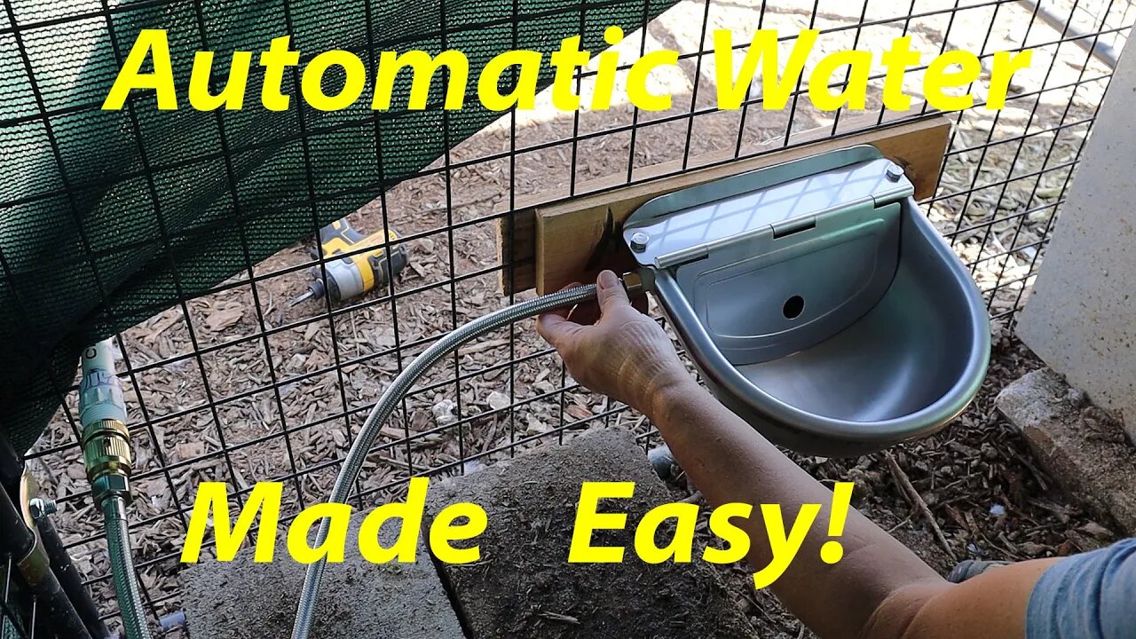 New Fertilizer | Automatic Waterer for Ducks and Turkeys | @IVOrganic