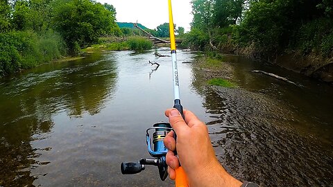 Catching Brook and Browns and Sauger