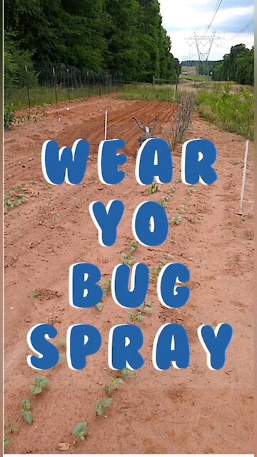 Wear Yo' Bug Spray