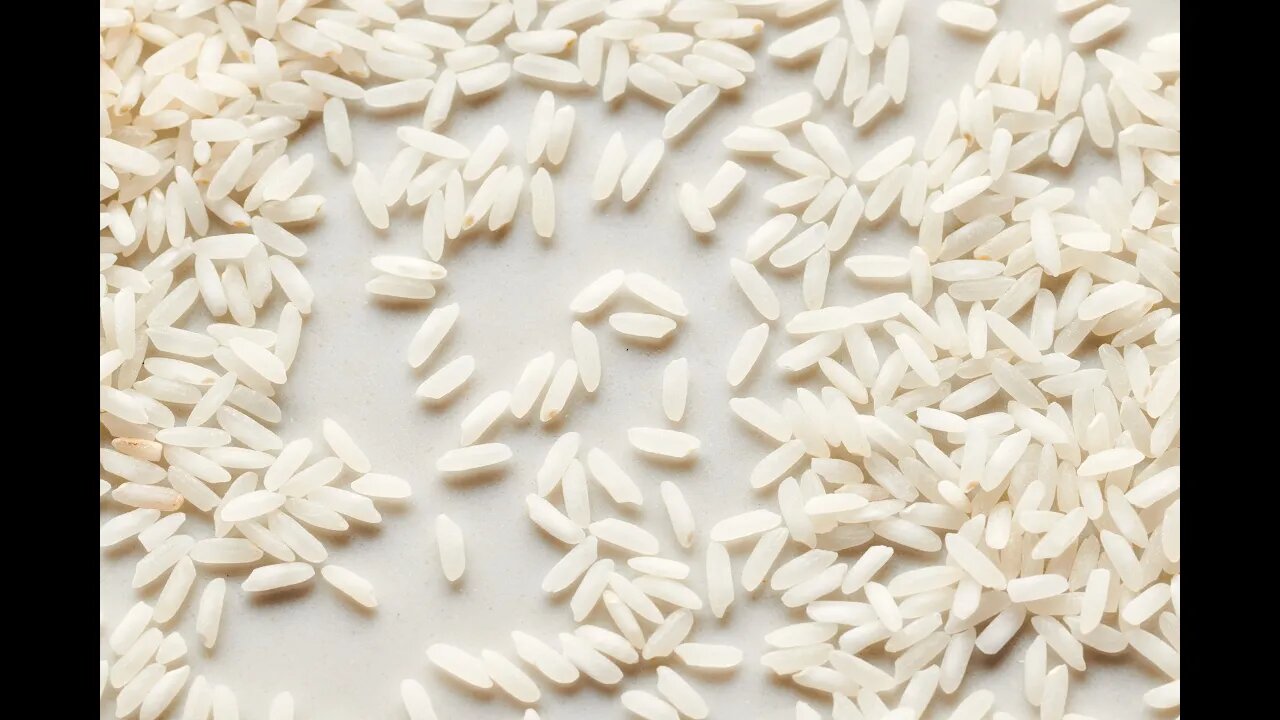 Does the "Rice Experiment" Prove RAP LYRICS are Not HEALTHY for your GROWTH?