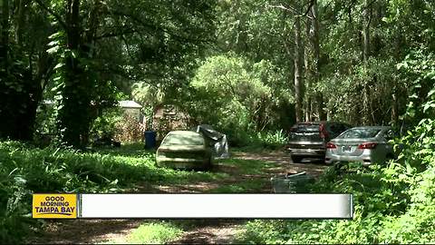 Elderly homeowner fatally shots intruder, Hillsborough County sheriff's deputies say