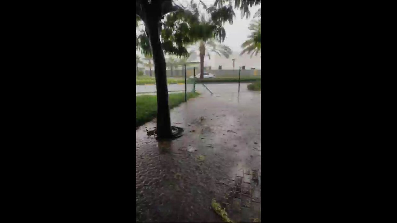 Its Raining time Nature Give us Relief pleaee like share and Comments