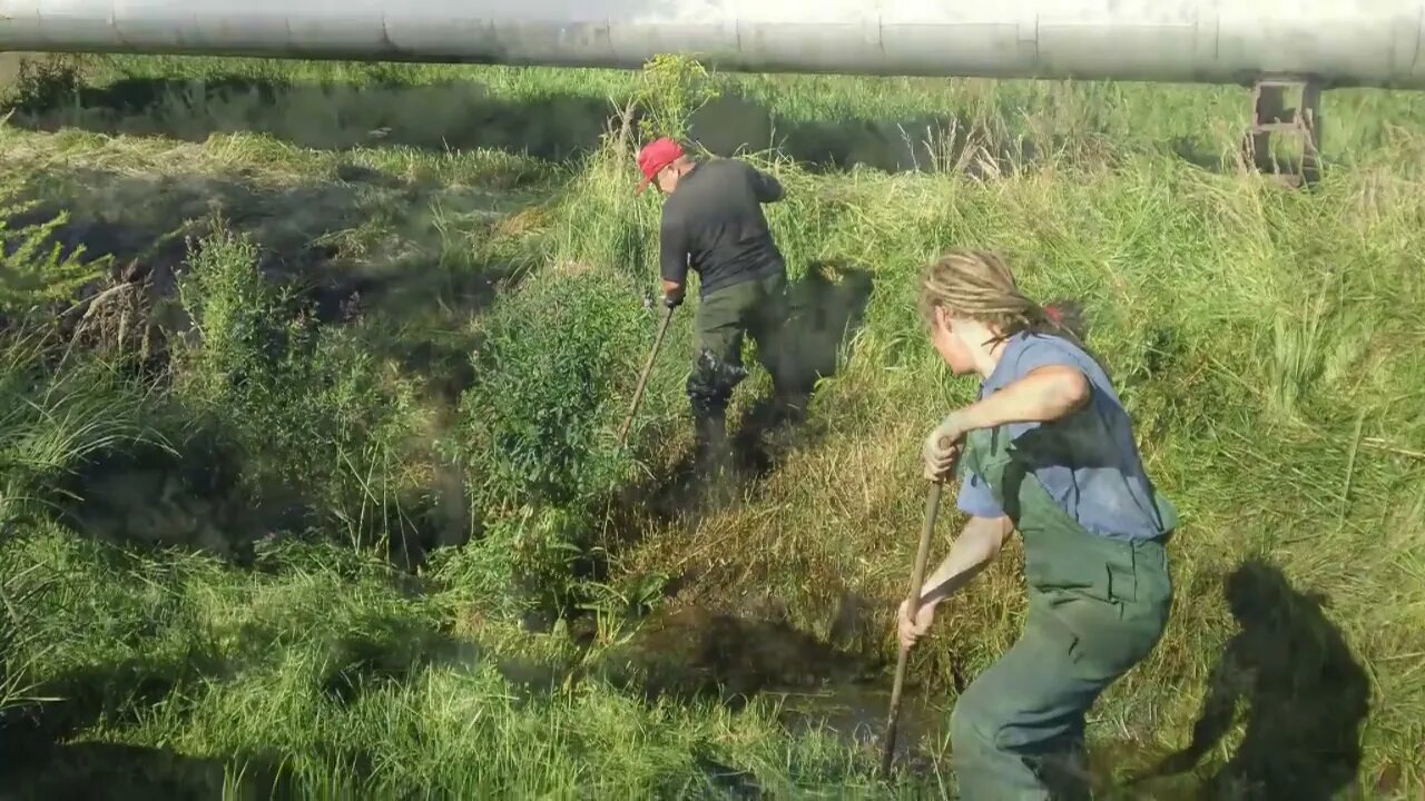 ktoś zamula i mu za to płacą 720p