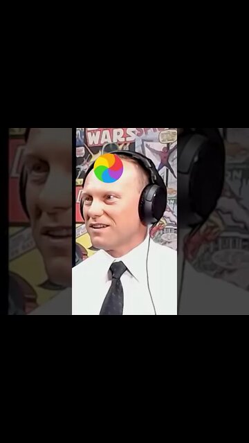 Paladin Amber Meme #shorts