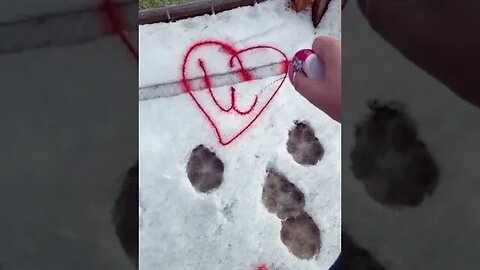 Destroying Heart tiktok madison banned247