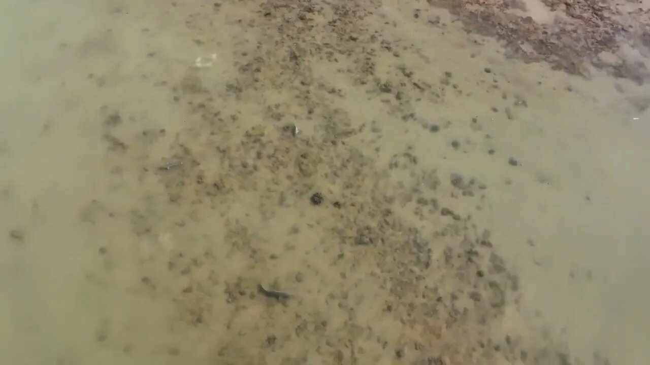 I Found The World's Deadliest Sea Creatures In Tide Pools-7