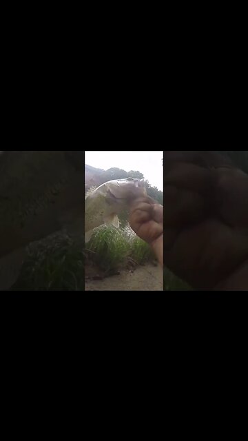 Sometimes It Just Takes One Cast #bassfishing #firstcast #fishing #fyp