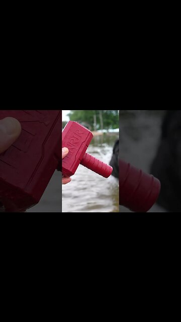 Get Out Of The WATER! #shorts #dog #shark