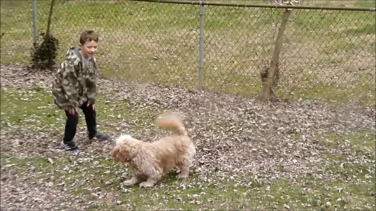 the chase...