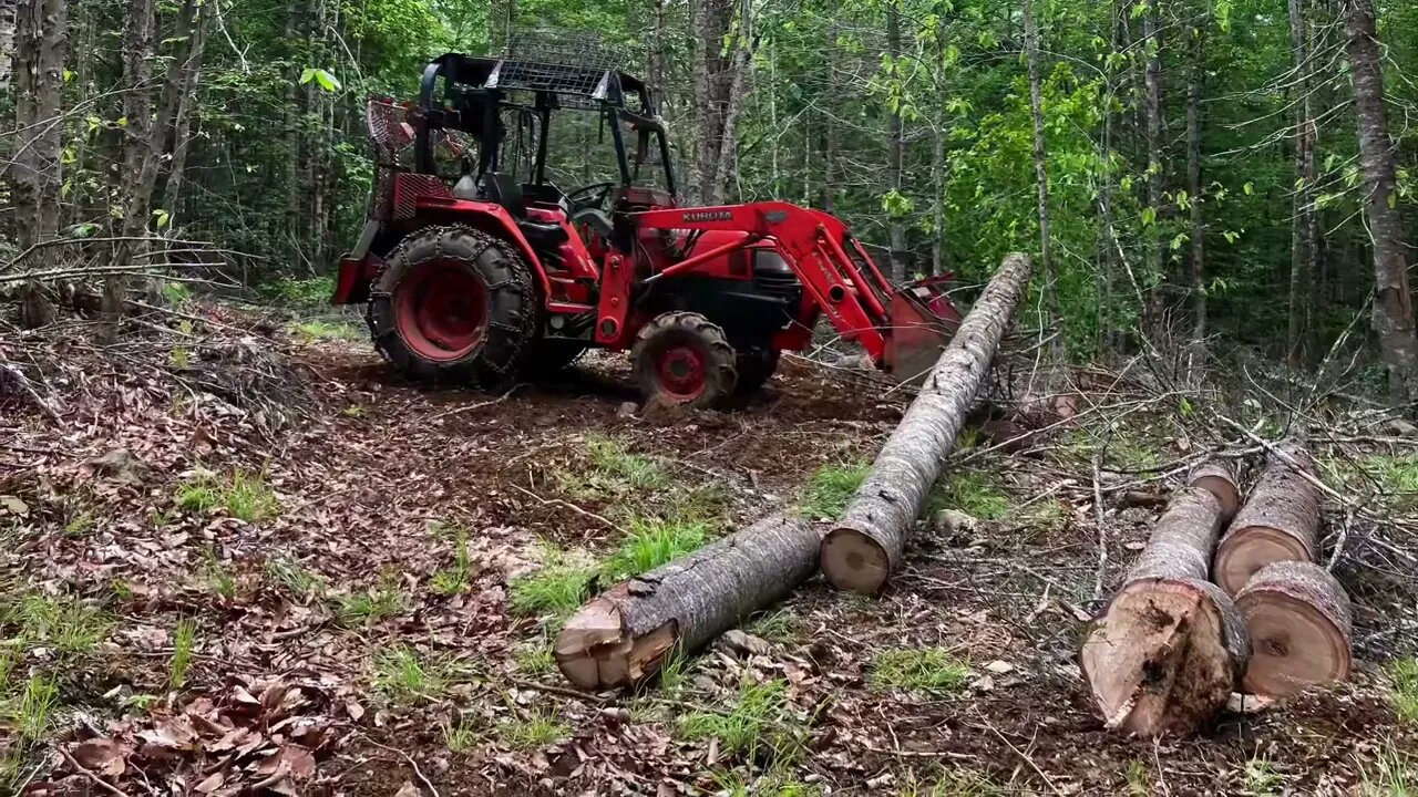 L3400dt loading giant red wood logs