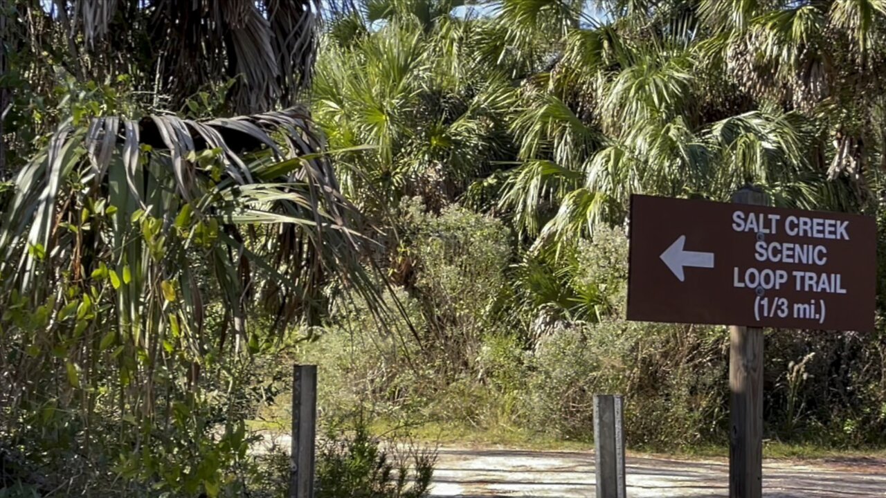 Walks in Paradise Part 3- Lower Suwannee National Wildlife Refuge- #4K #walks #DolbyVision