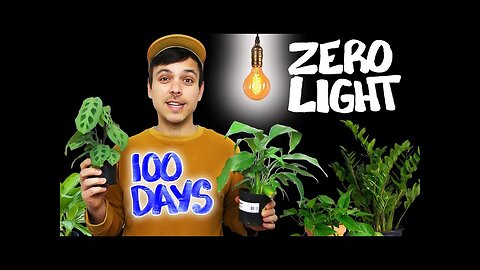 We Tested Houseplants In ZERO LIGHT - The results were shocking