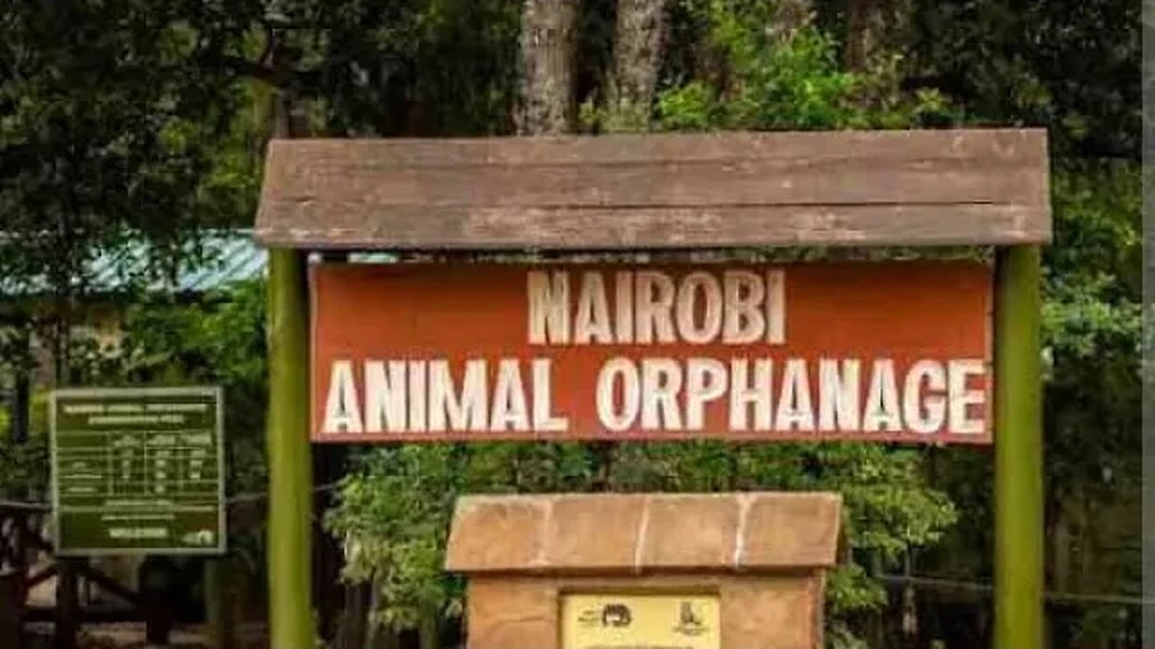 OUTDOOR SHOW WITH JOBY,KATTY AND LIZZY AT NAIROBI NATIONAL PARK.