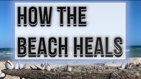 How The Beach Heals Your Brain & Alleviates Stress